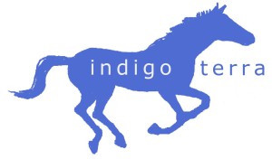 logo indigoterra